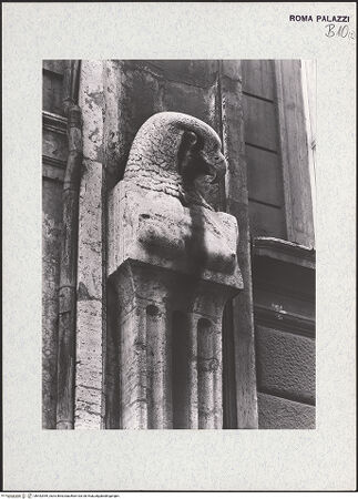 Vorderseite von bh442959_recto