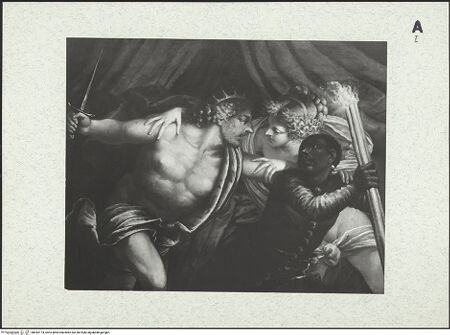 Vorderseite von bh443174_recto