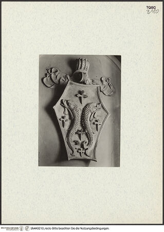 Vorderseite von bh443213_recto