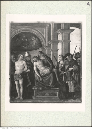 Vorderseite von bh443235_recto