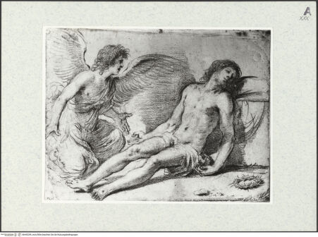 Vorderseite von bh443249_recto