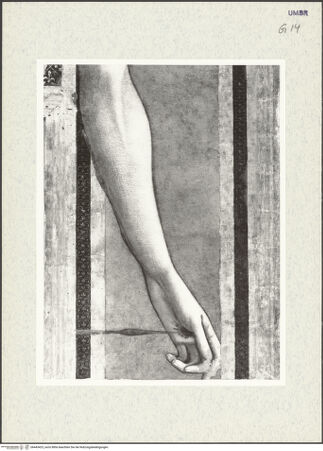 Vorderseite von bh443423_recto