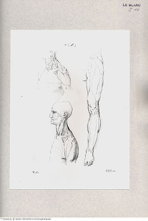 Vorderseite von bh443601