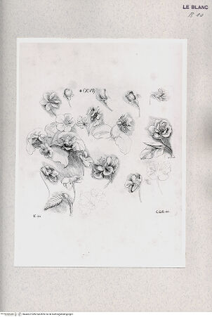 Vorderseite von bh443622