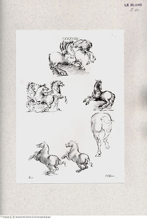 Vorderseite von bh443640