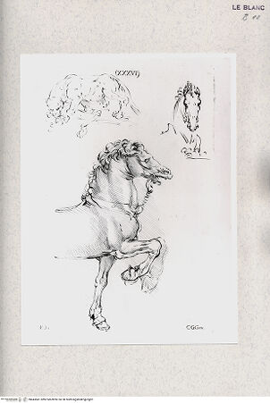 Vorderseite von bh443641