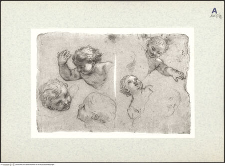 Vorderseite von bh443749_recto