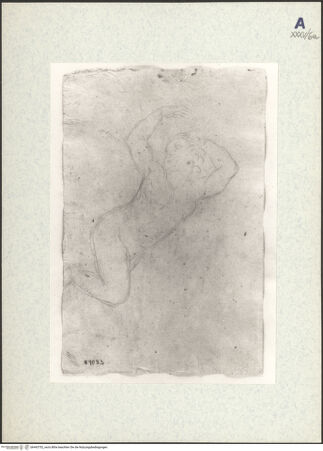 Vorderseite von bh443752_recto