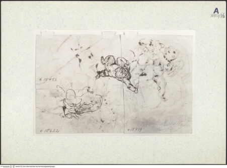 Vorderseite von bh443753_recto