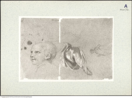 Vorderseite von bh443756_recto