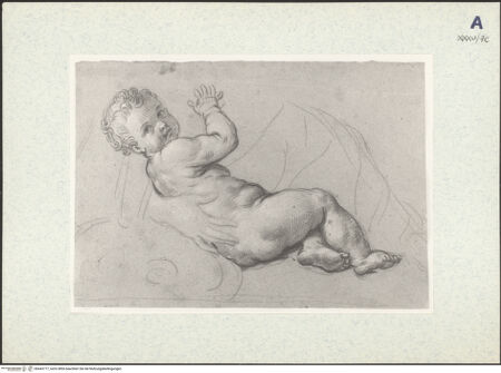 Vorderseite von bh443777_recto