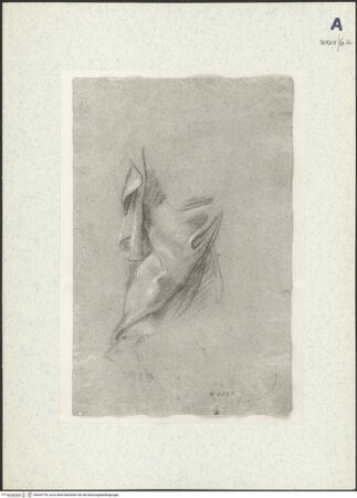 Vorderseite von bh443778_recto