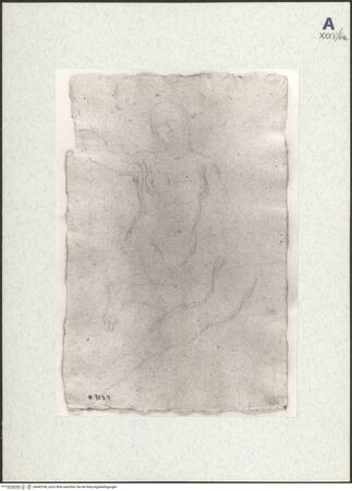 Vorderseite von bh443784_recto