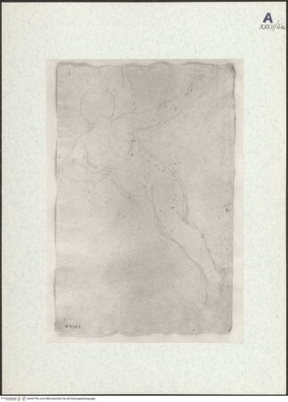 Vorderseite von bh443790_recto