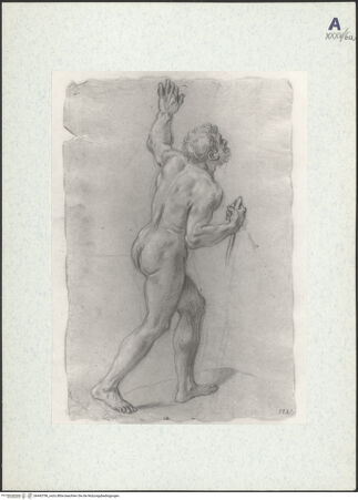 Vorderseite von bh443796_recto