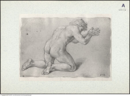 Vorderseite von bh443811_recto