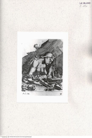 Vorderseite von bh443824