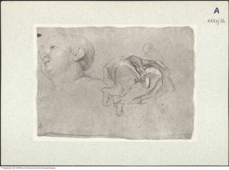 Vorderseite von bh443903_recto