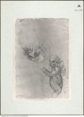 Vorderseite von bh443907_recto