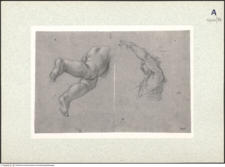 Vorderseite von bh443920_recto