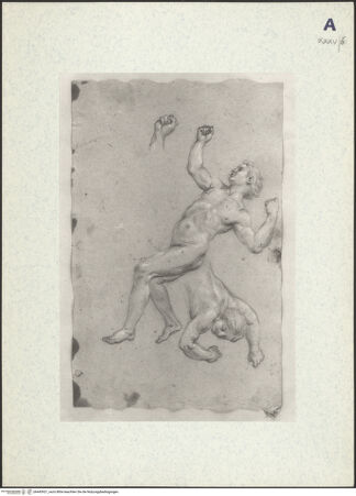 Vorderseite von bh443921_recto