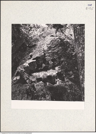 Vorderseite von bh444136_recto