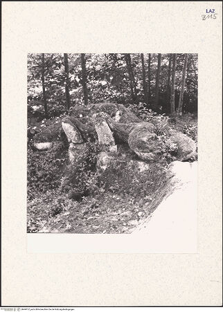 Vorderseite von bh444137_recto