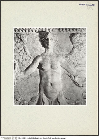 Vorderseite von bh444224_recto