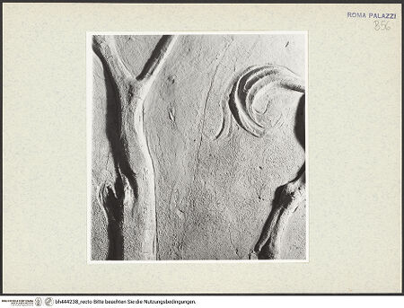 Vorderseite von bh444238_recto