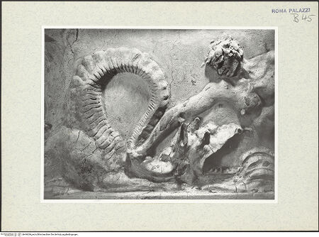 Vorderseite von bh444246_recto