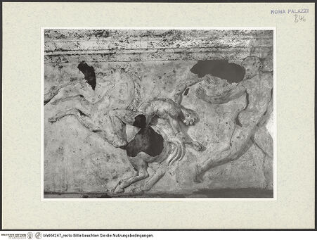 Vorderseite von bh444247_recto