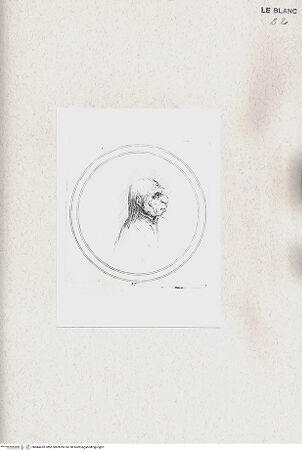 Vorderseite von bh444410