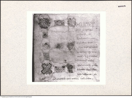 Vorderseite von bh444509_recto