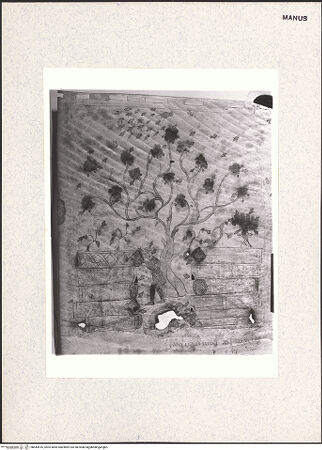 Vorderseite von bh444516_recto