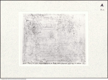 Vorderseite von bh444619_recto