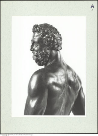 Vorderseite von bh444769_recto