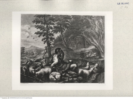 Vorderseite von bh445048