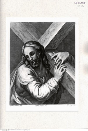 Vorderseite von bh445058