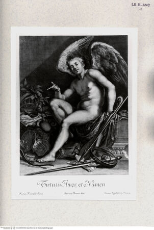 Vorderseite von bh445059