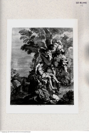 Vorderseite von bh445097