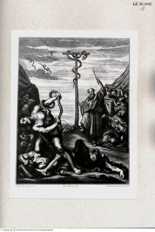 Vorderseite von bh445099