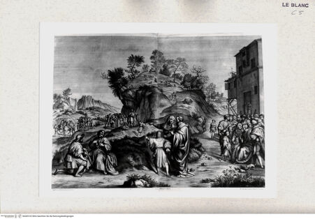 Vorderseite von bh445102