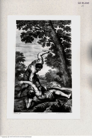 Vorderseite von bh445104