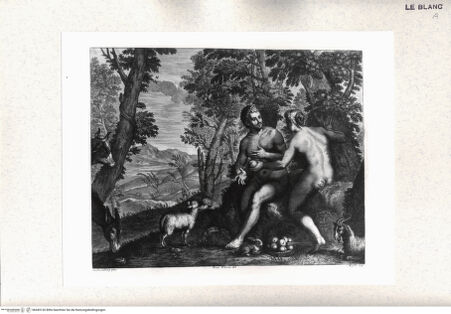 Vorderseite von bh445126