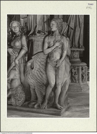 Vorderseite von bh445166_recto