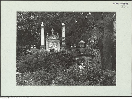 Vorderseite von bh445241_recto