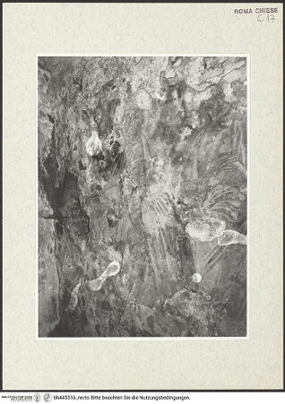 Vorderseite von bh445516_recto