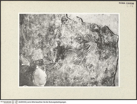 Vorderseite von bh445532_recto