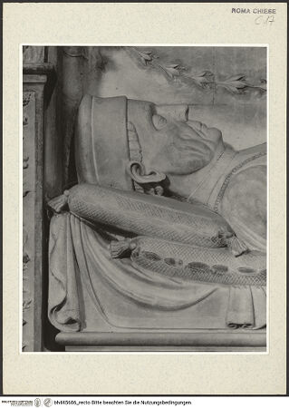 Vorderseite von bh445686_recto