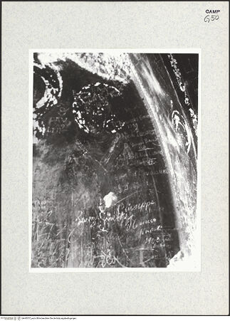 Vorderseite von Istituto di Storia dell'Arte dell'Università di Roma, La Sapienza [https://www.deutsche-digitale-bibliothek.de/content/lizenzen/rv-ez/] Zyklus der oberen KapelleMadonna zwischen den heiligen Nikolaus, Paulinus, Johannes dem Täufer und Johannes dem Evangelisten - Paulinus von Nola, Detail (vor der Restaurierung), bh445737_recto. Foto.